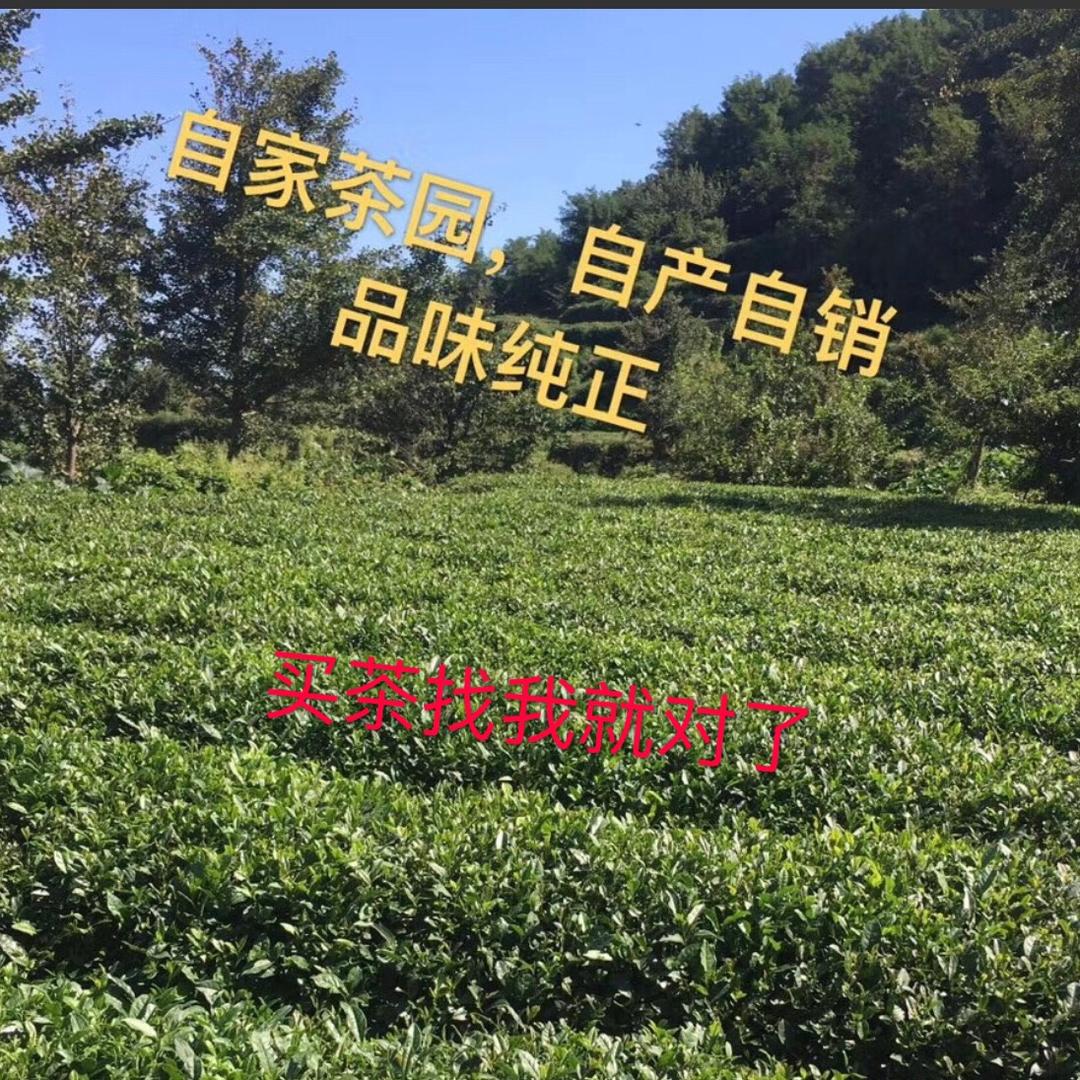 茶水源茶苑