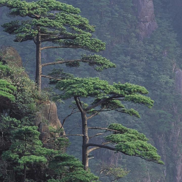 小匆过客