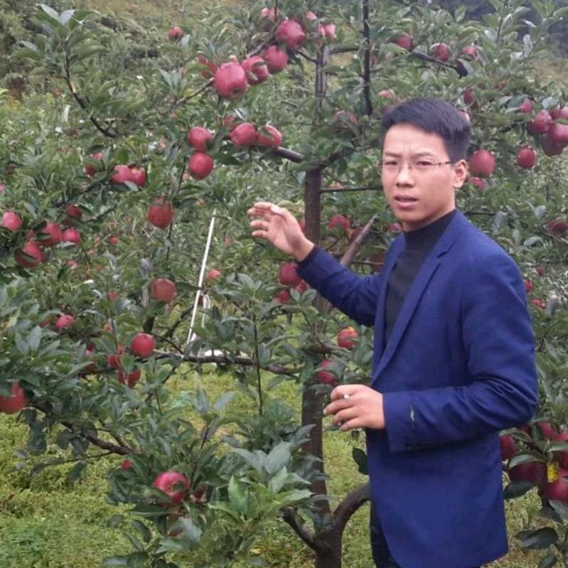 嘻嘻农业—黄小凯