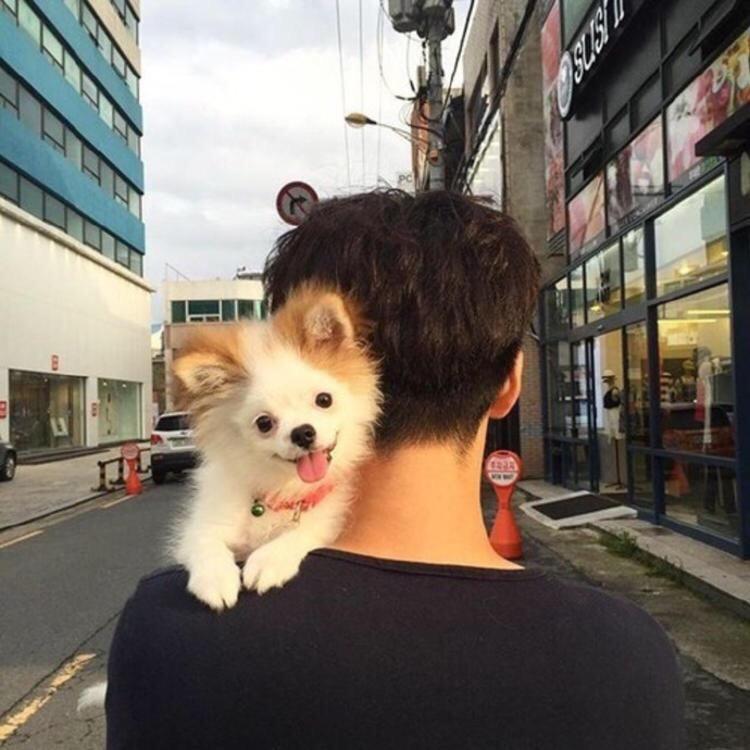 南墙下搭一个小房子  。