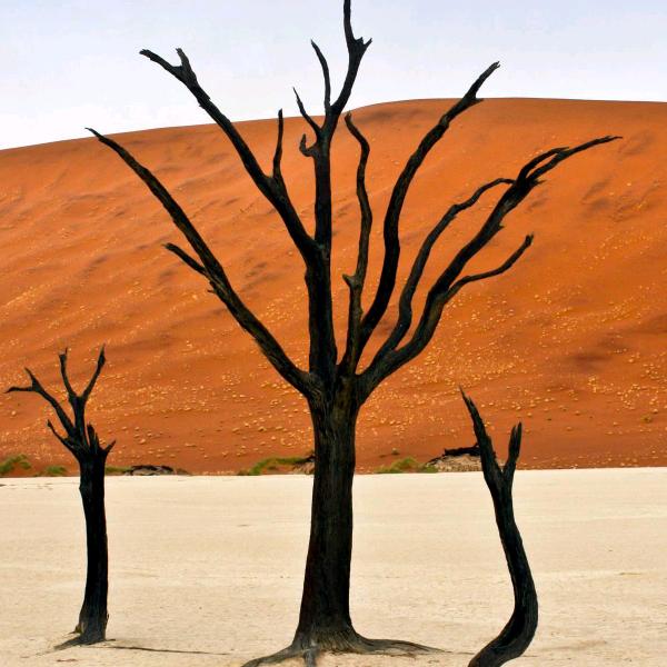 A000*广义汽修~~刘强