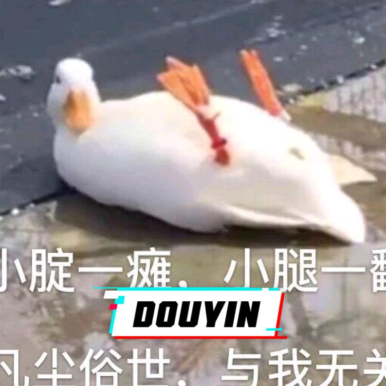 昕