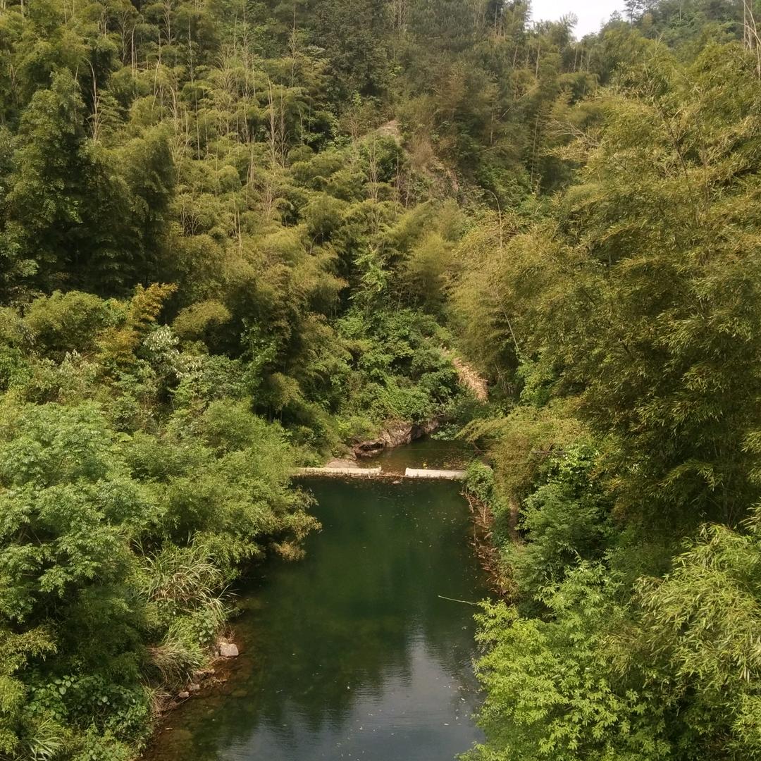 青岚