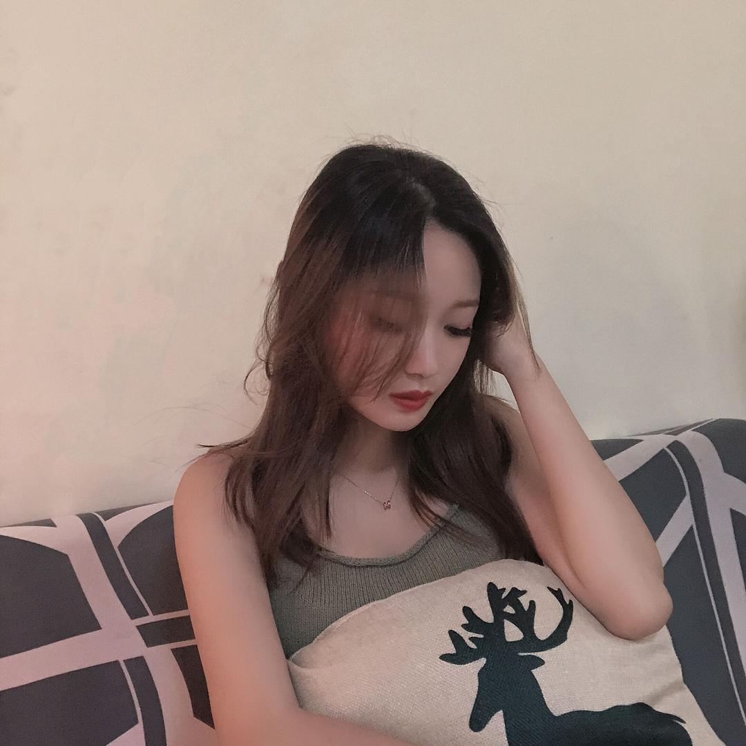 🐑🐯