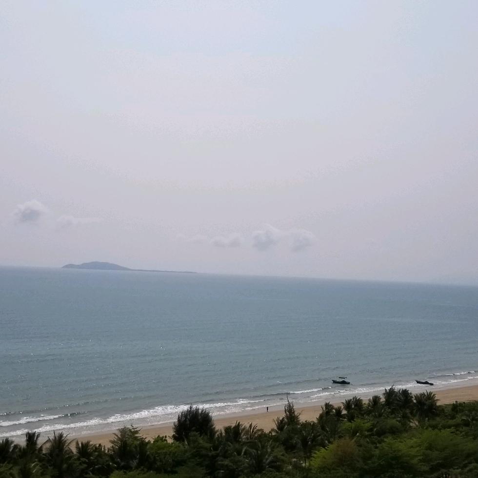 王王王、小贱💋