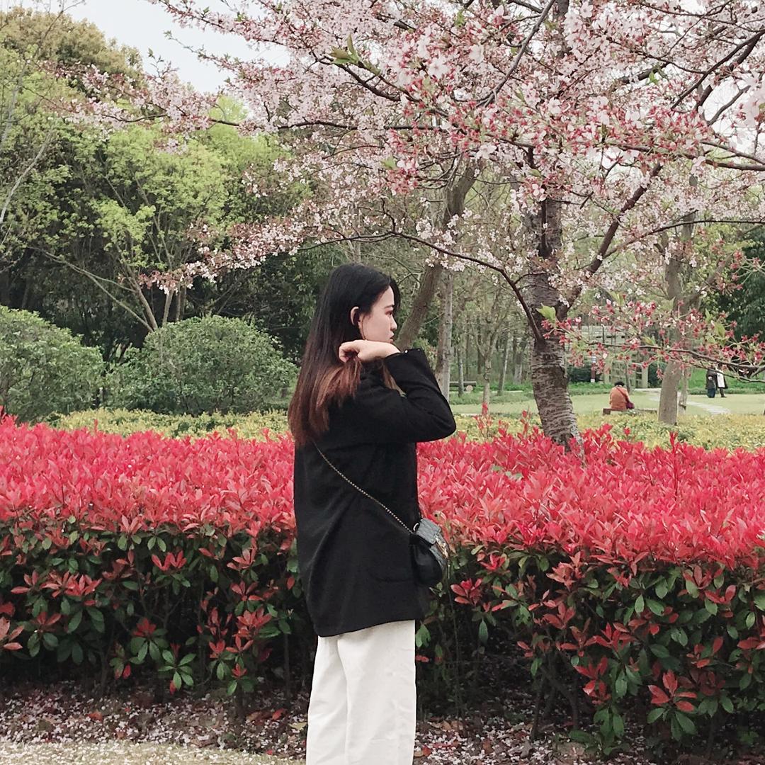 七秒記憶 💫