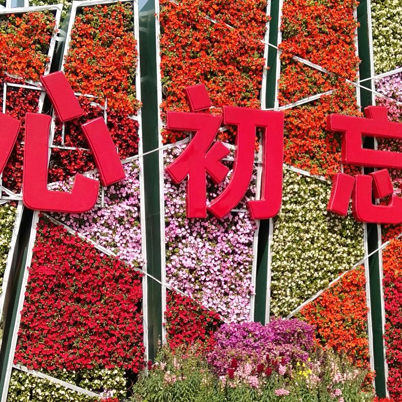 有始有终(不离不弃的爱)