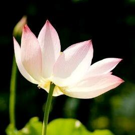 武姐姐🌻