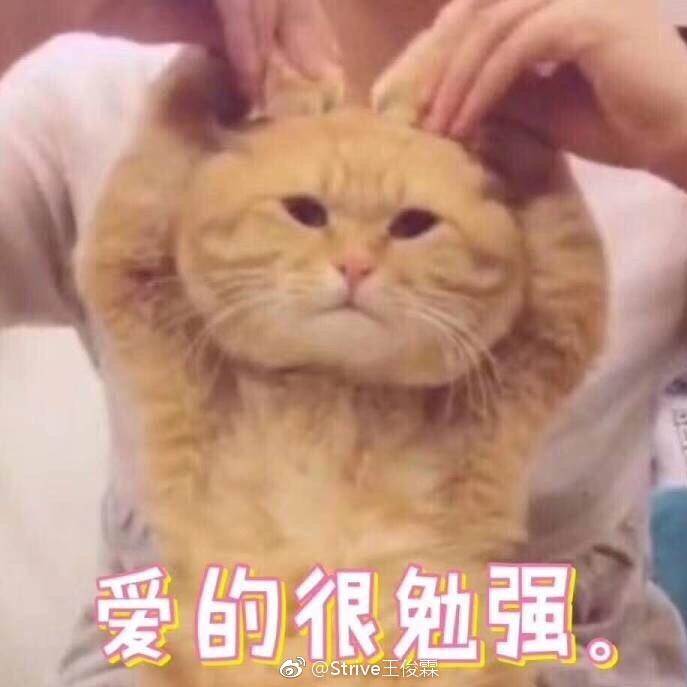 🌈庆山、