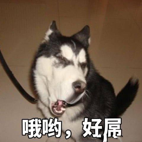 小杨