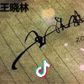 王晓林