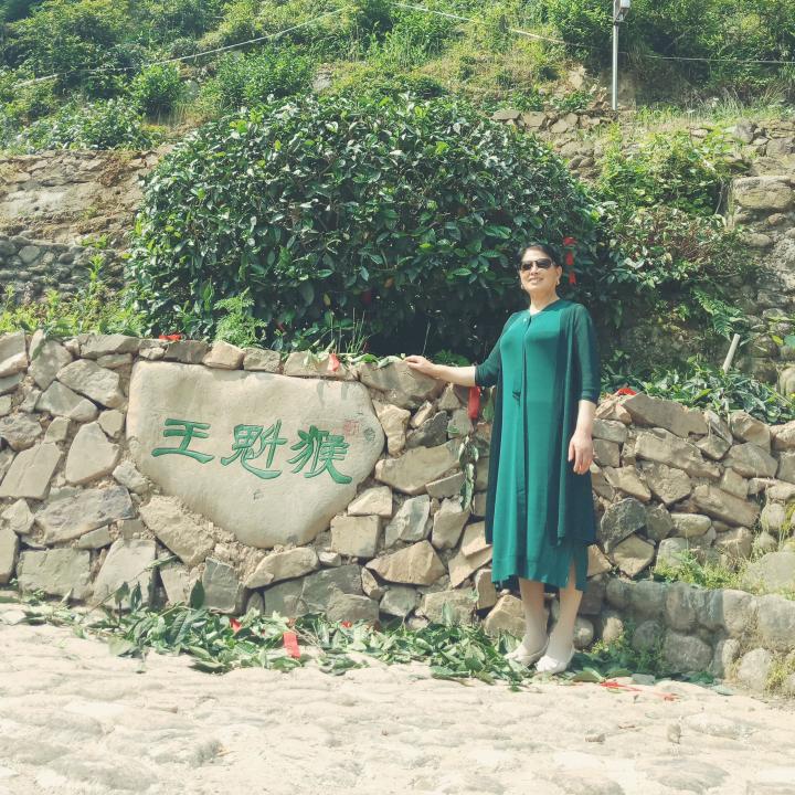 黄山猴坑三门岭茶场