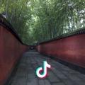 一蓑烟雨