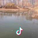 自由人