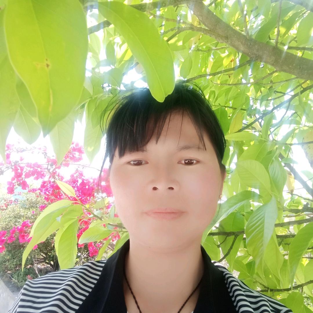 陈老五探店