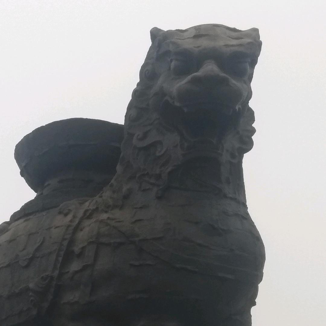 简单的日子