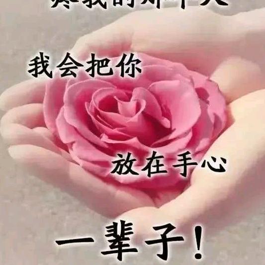 🌻🌻🌵🌱带刺的小草🌾🍀🌹