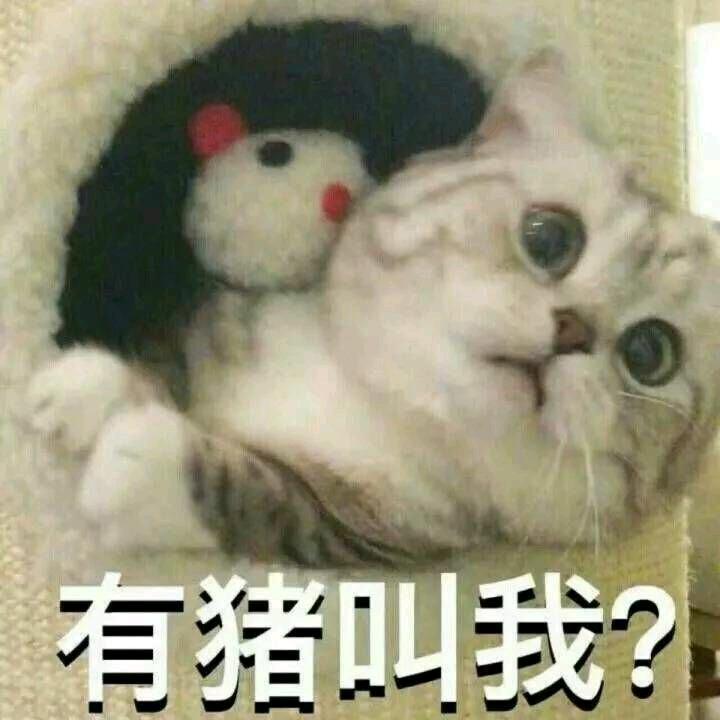 焦糖脆脆