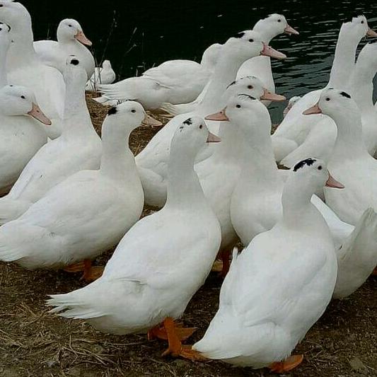 伟我所爱@