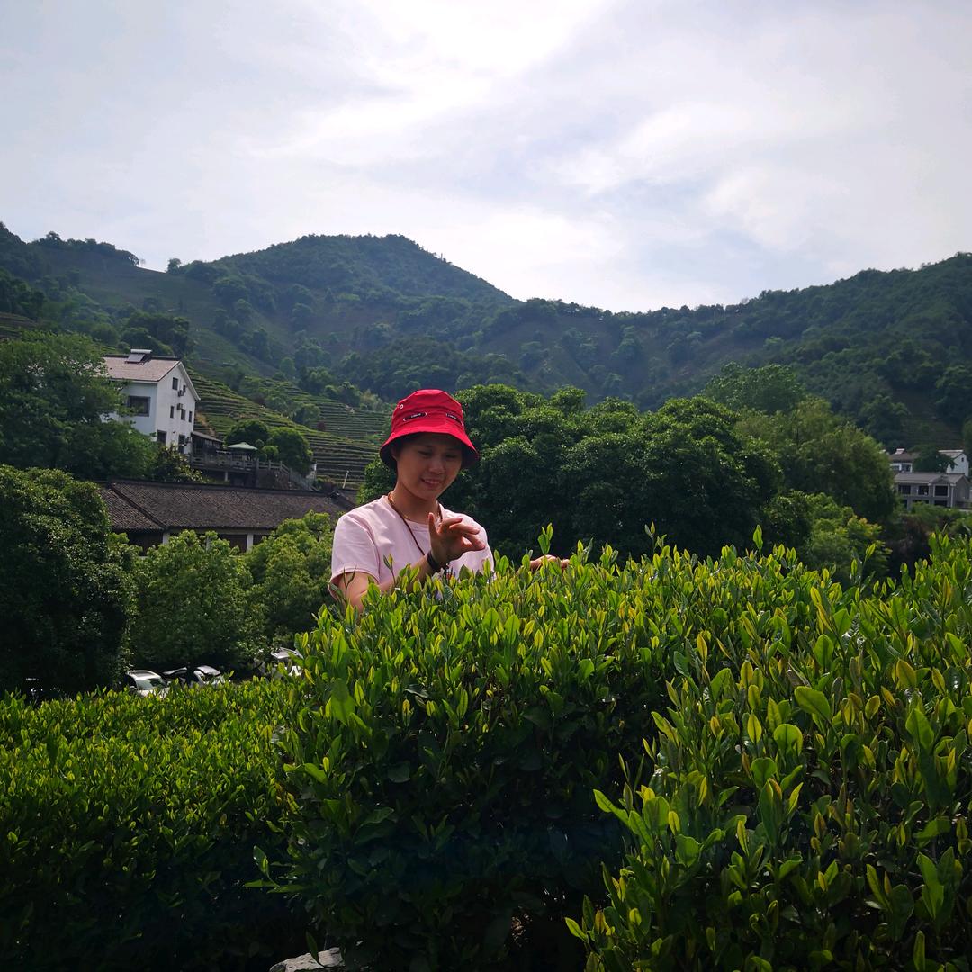 吃茶人