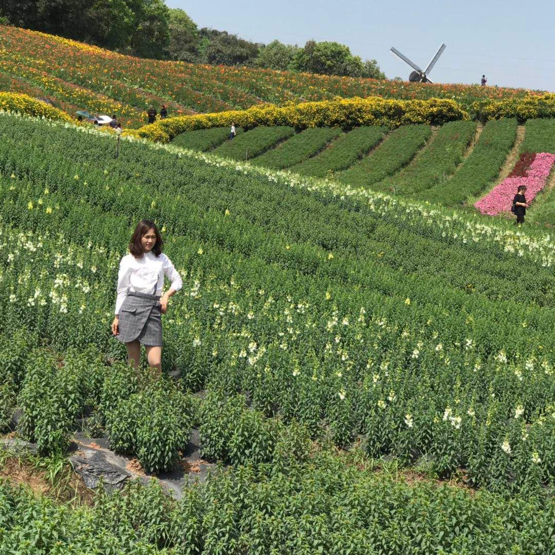 你若安好 那还得了@L