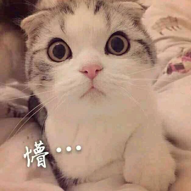 小宁咯