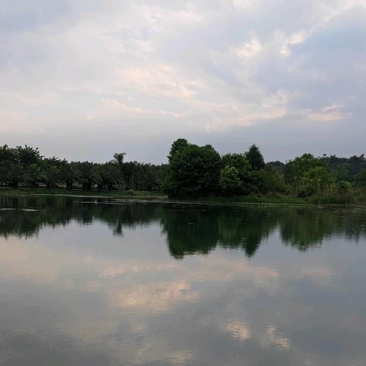 青春走了爱还在