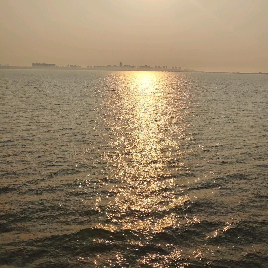 倪海厦中医文化守望者