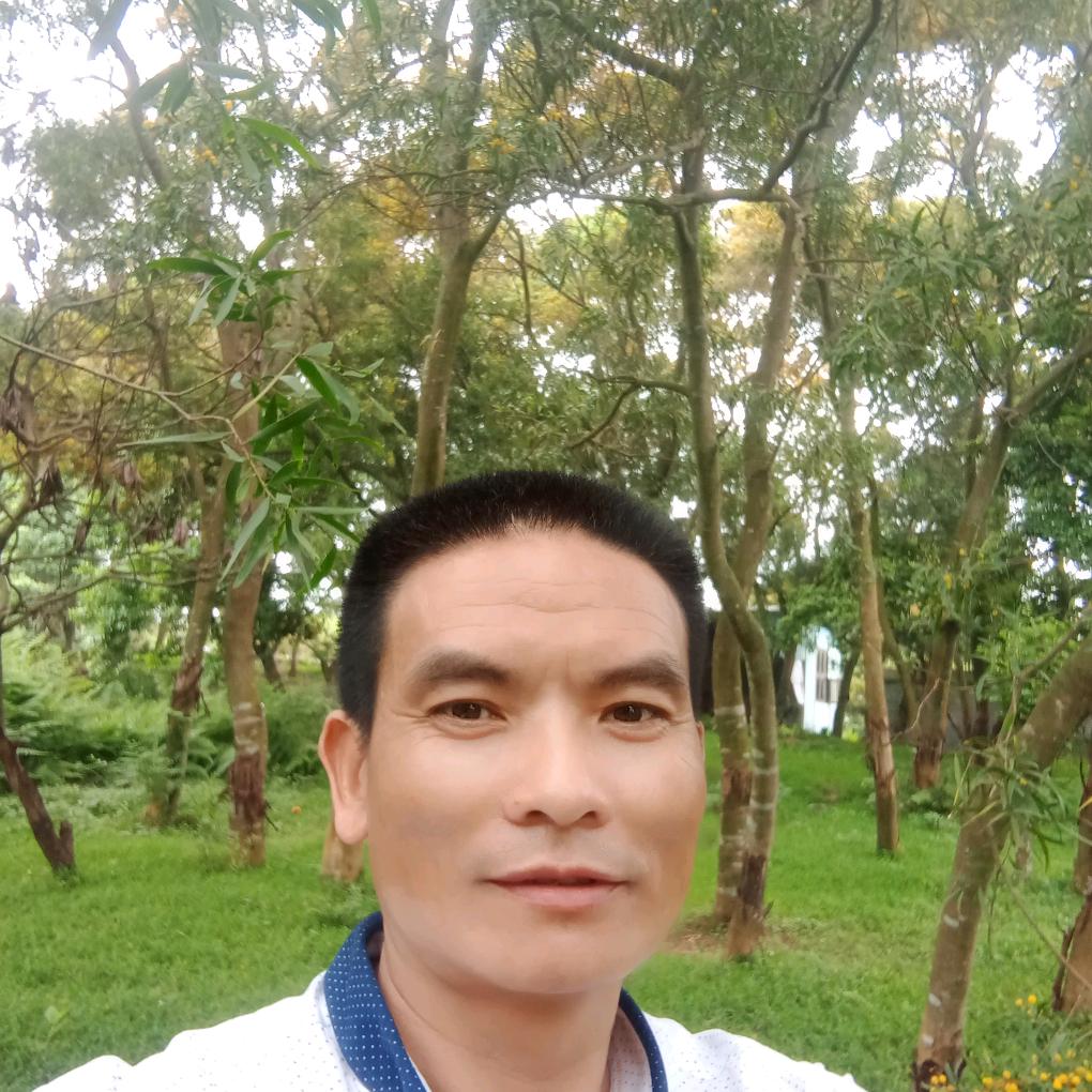 彝拉绿茶
