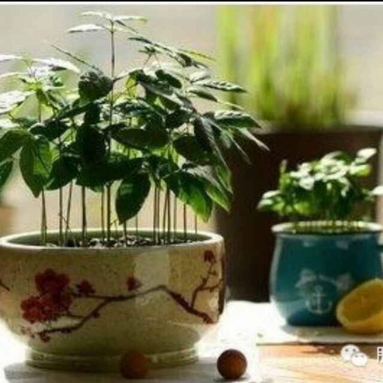 性情中人