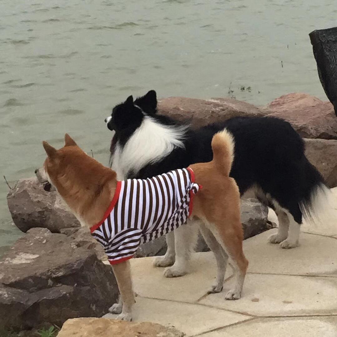 路衣兮的日记