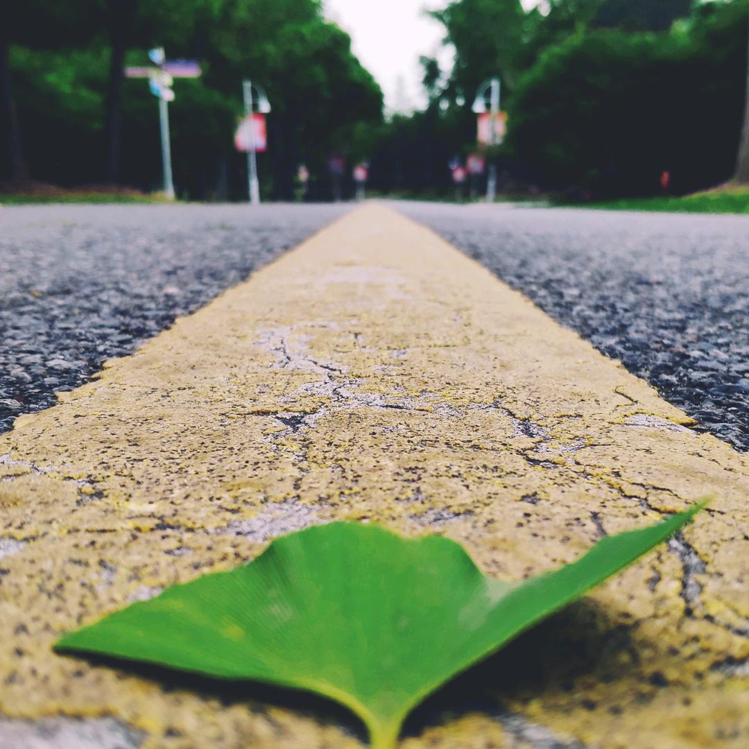 放在糖果旁的是我
