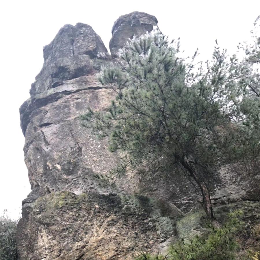我非薄荷为何心凉