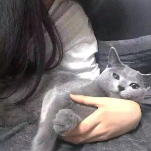粗丸呀98