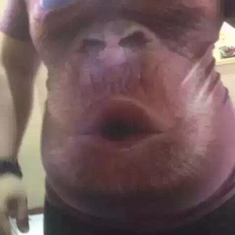 劈击弹踢