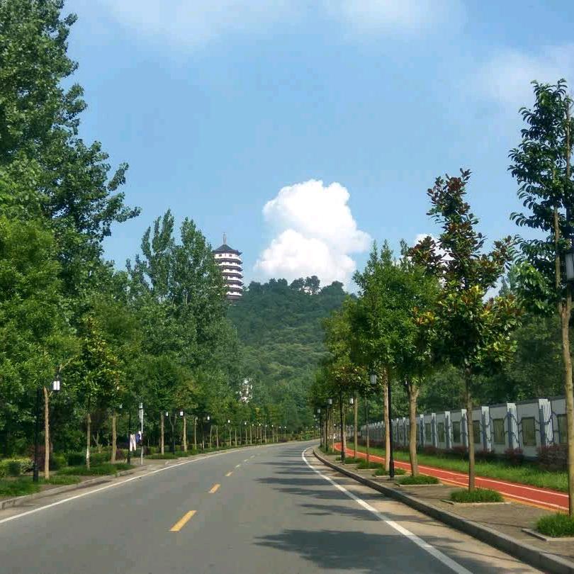 华仔૮ ºﻌºა