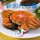 A新阳光河蟹