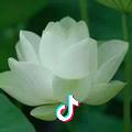 你安好我无恙