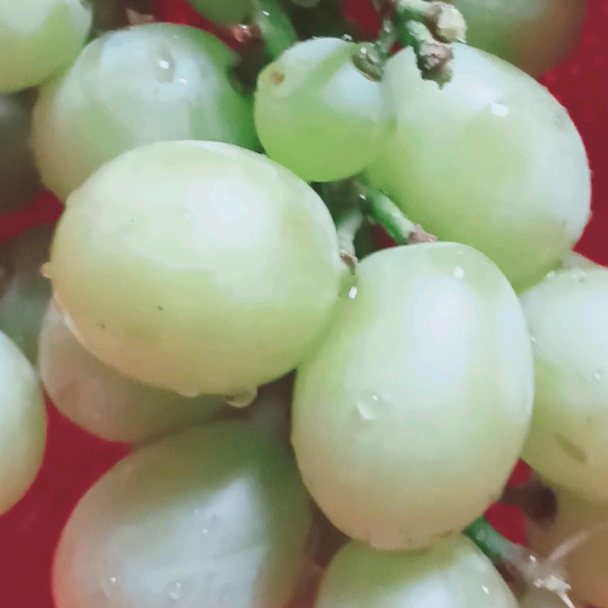 明(ಡωಡ) 宝