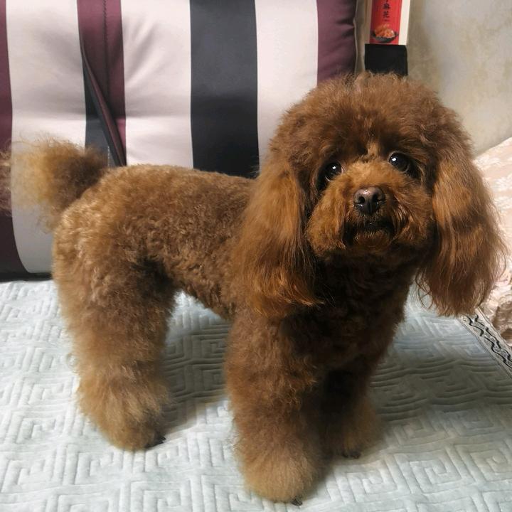 幸福108