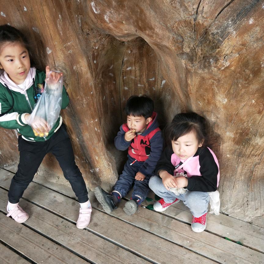 傻大姐天天开心