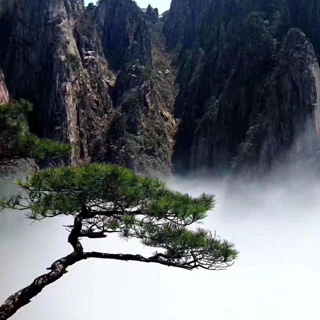 岁月静好_