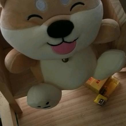 人生海海
