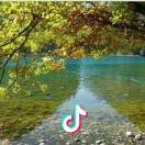 天狼星上的可达鸭