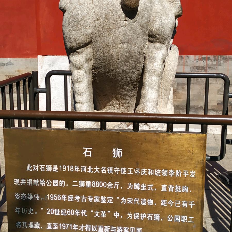 @张鱼小丸子