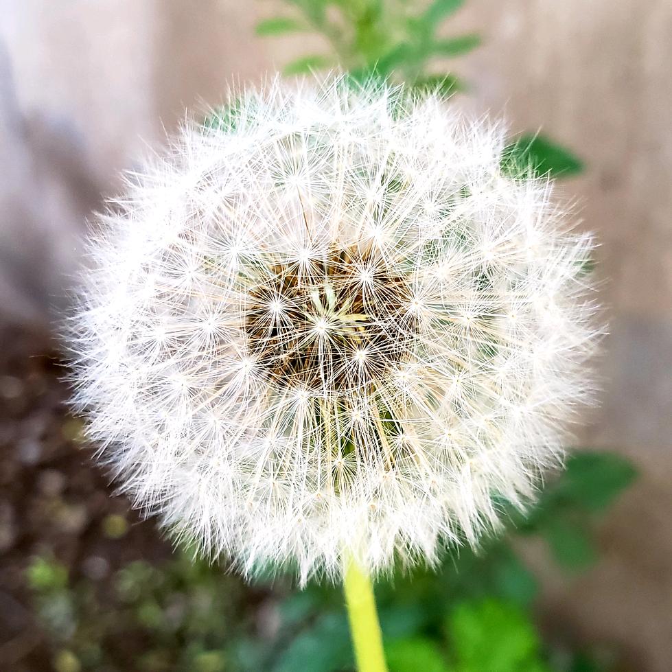 秋天
