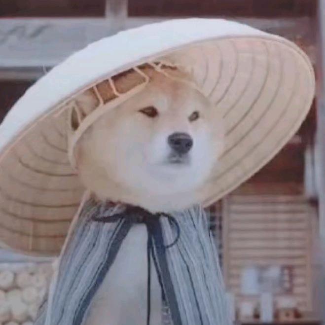大坏蛋