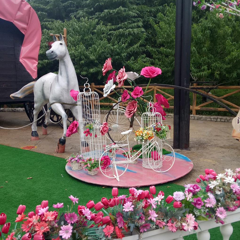 芳年华月🌸