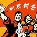 水果鲜锋队｜队长Lee