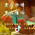 影中百合